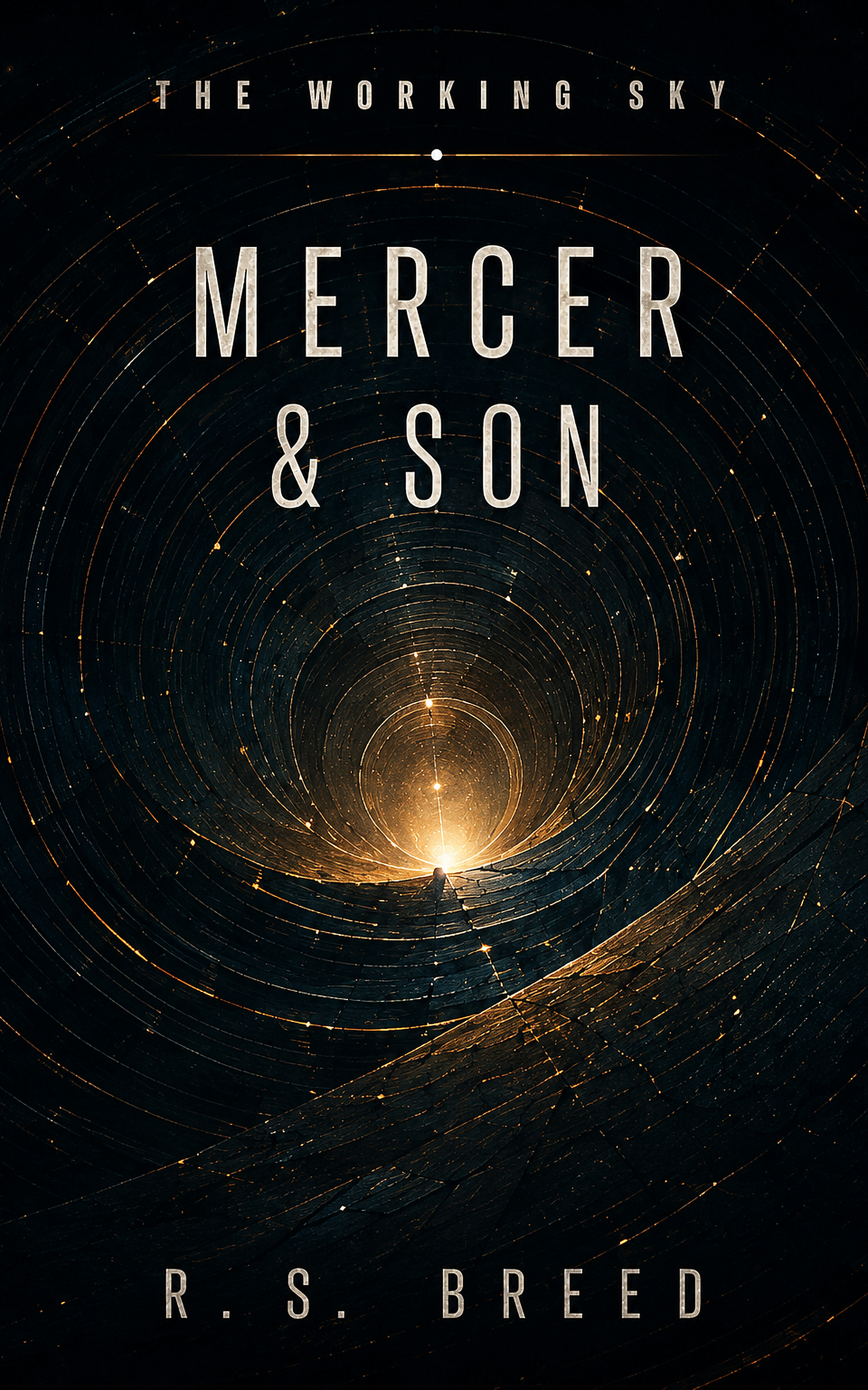 Cover of Mercer & Son